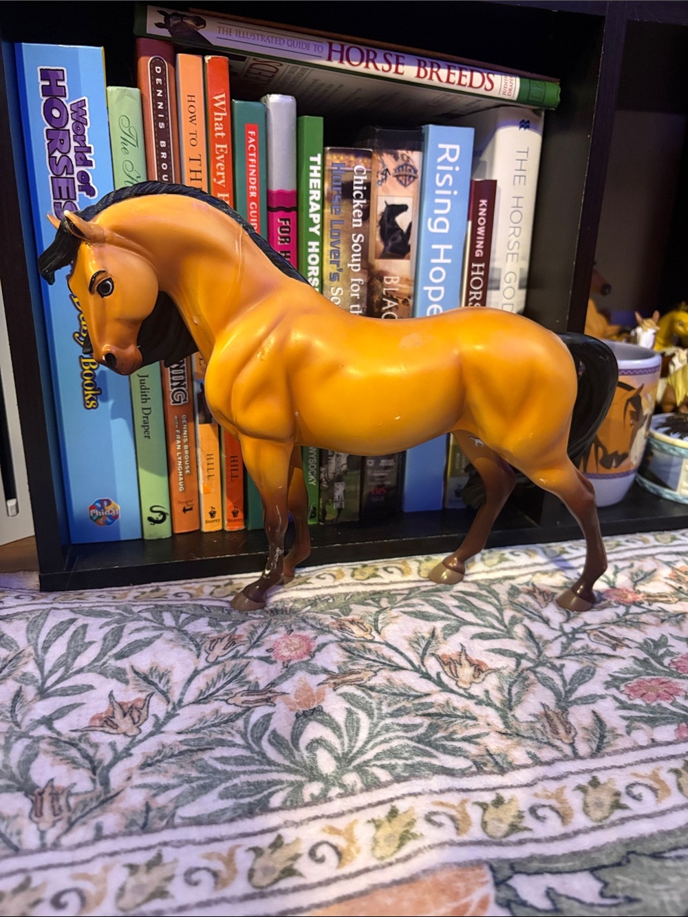 Breyer Spirit *BODY CONDITION*